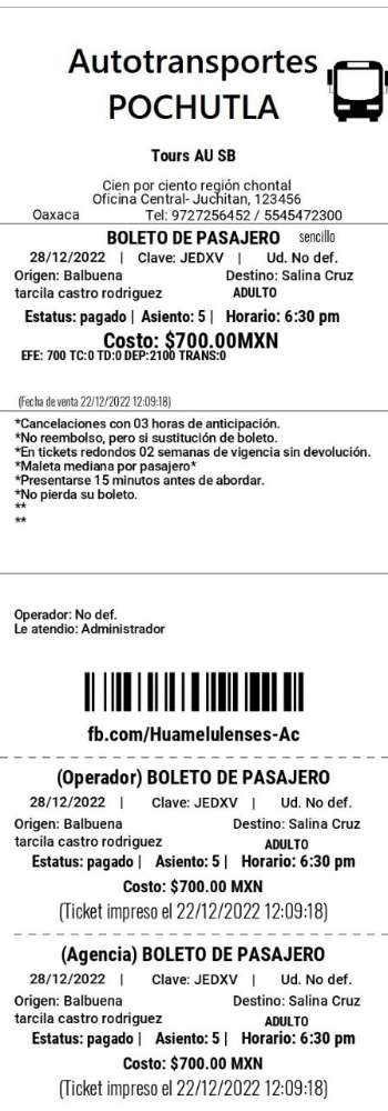 boleto de pasajero completo